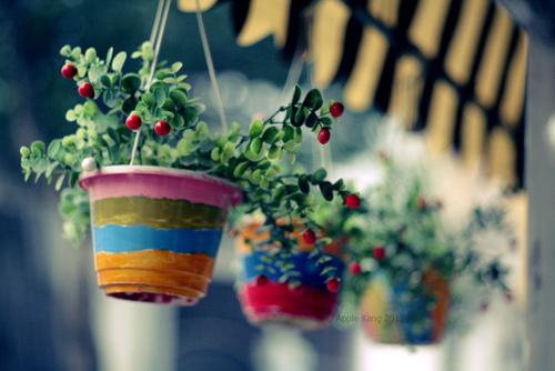 人过五十富不管二事,人过七十就必须换个活法