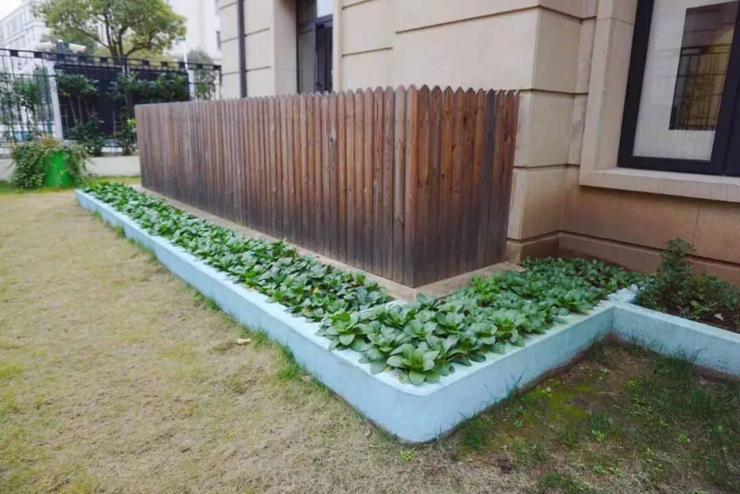 探园幼儿园教室,上海100多所托幼园