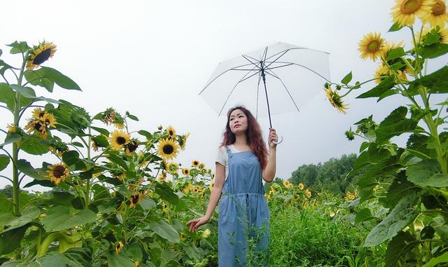下雨拍照姿势大全不带伞,旅游打伞拍照姿势