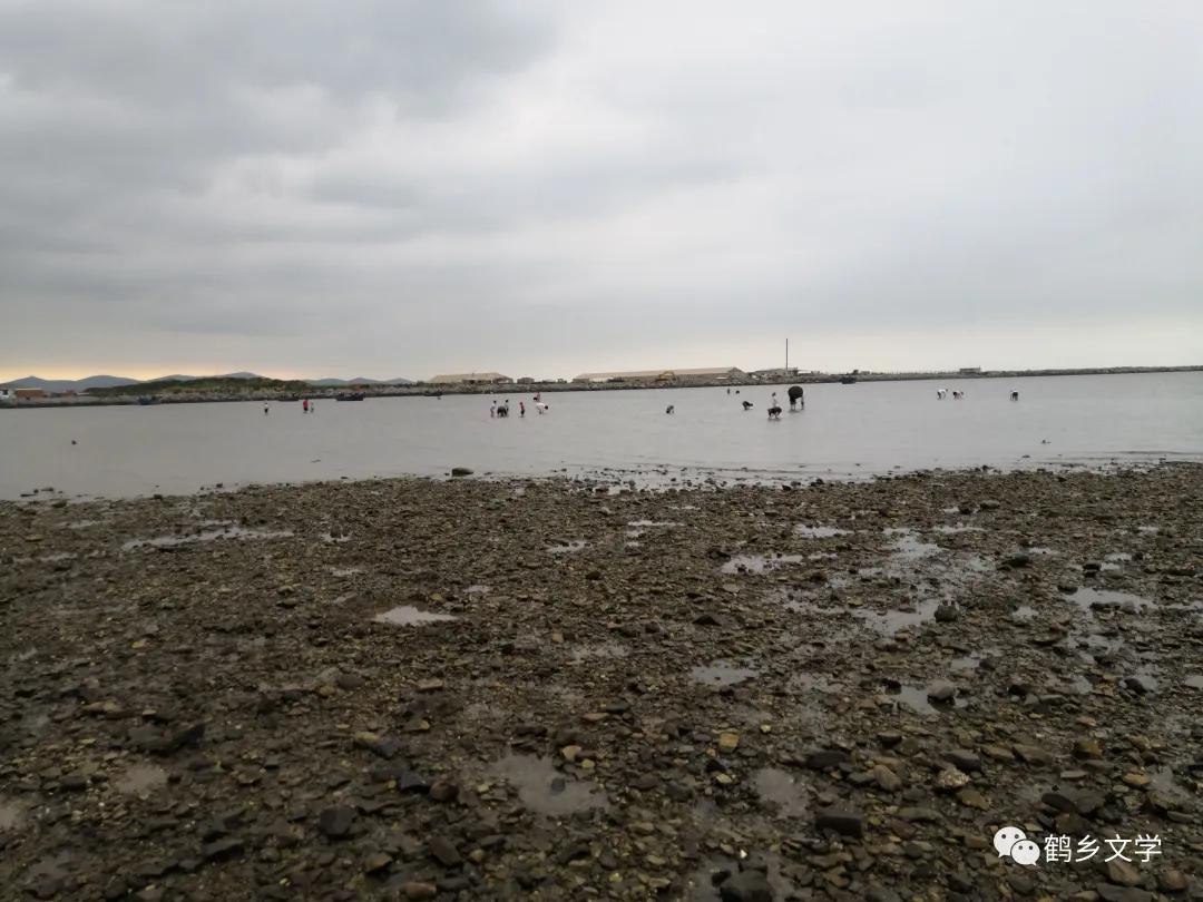 有关韩嘉川的视频,韩嘉川代表作品