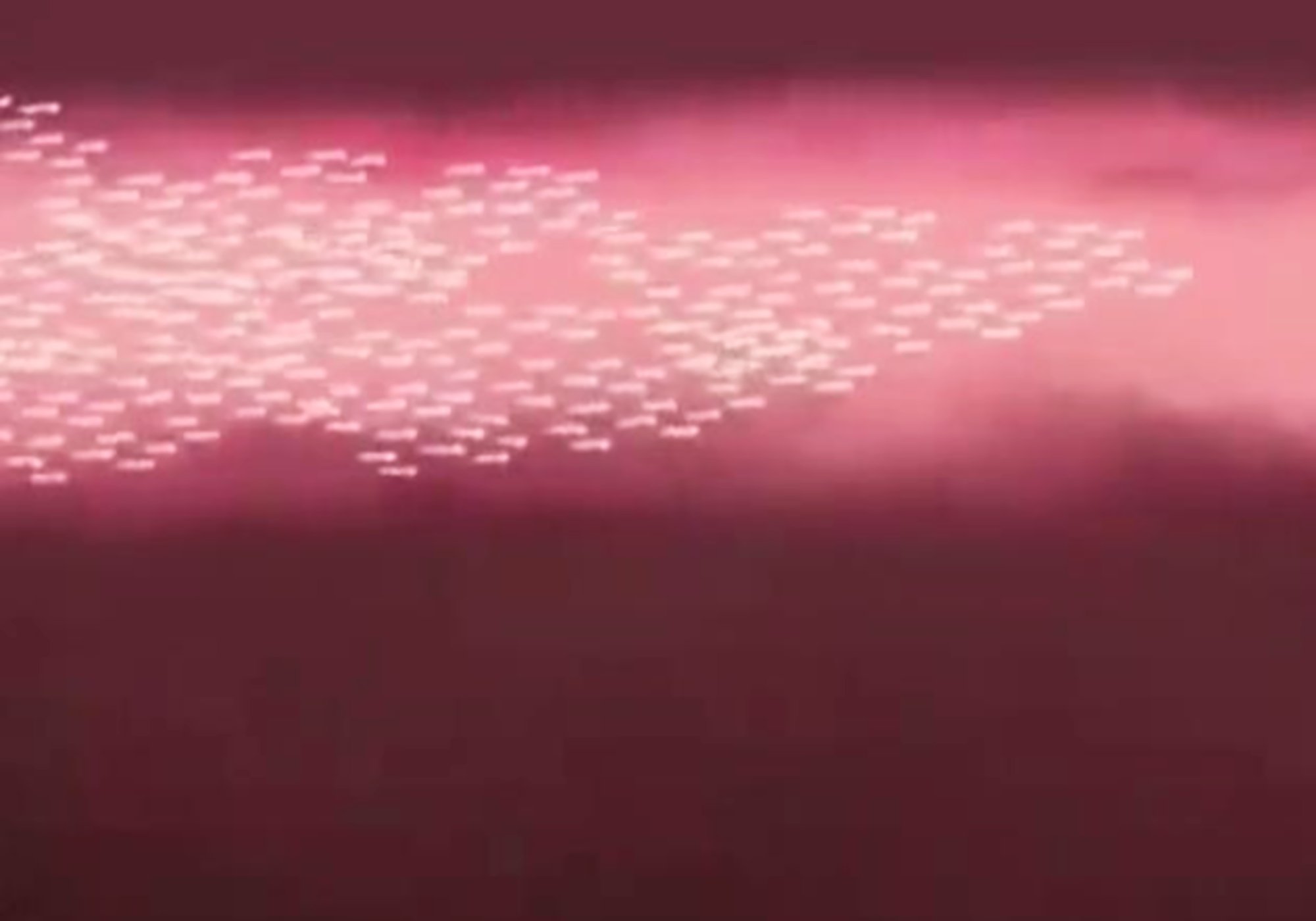 宝妈吃了避孕药会发生啥？动画模拟全过程，精子：我太难了