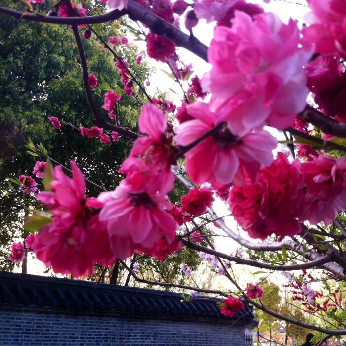 咸阳又一城,咸阳又一城佳境