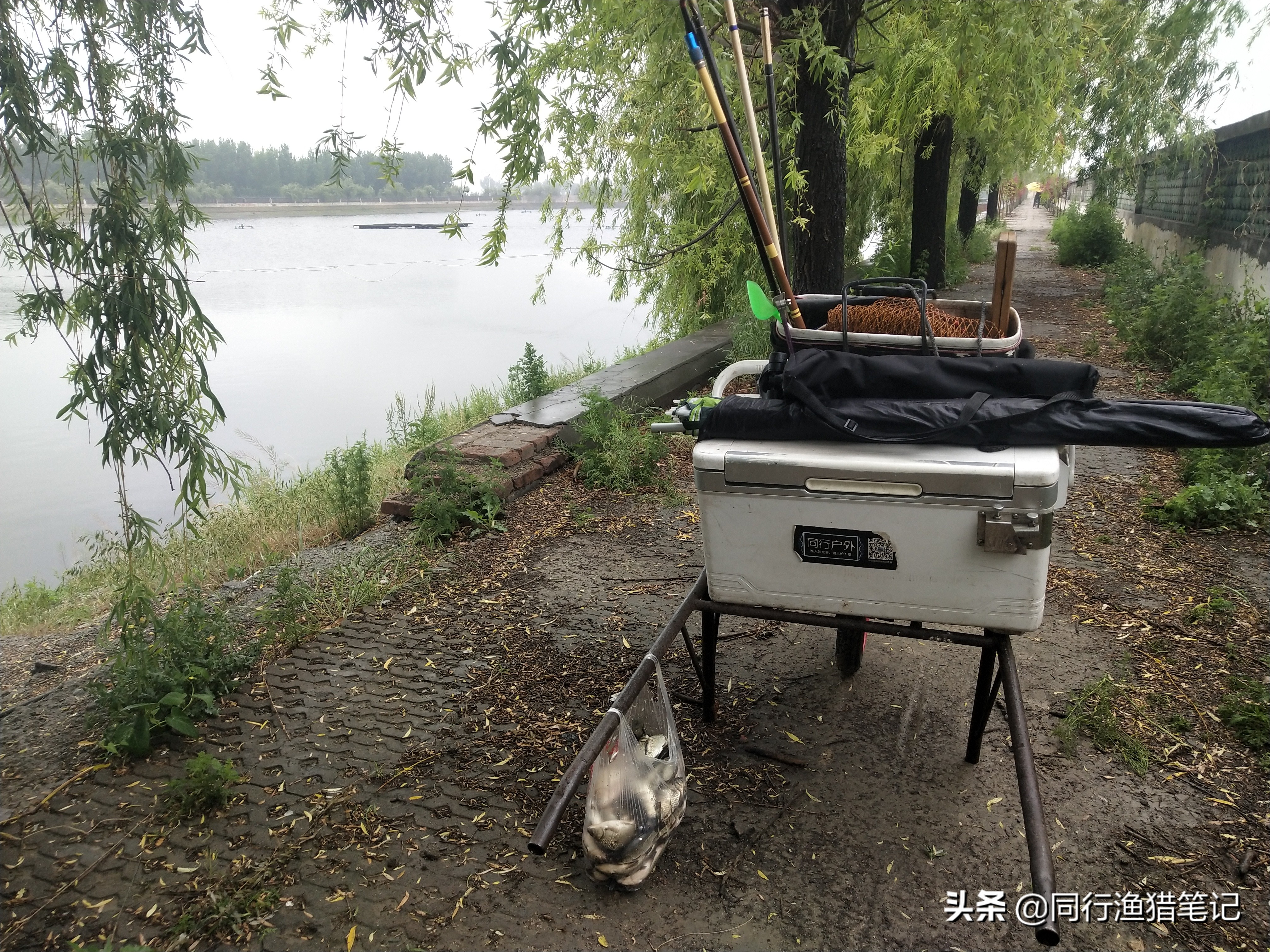 窝里有鱼扔个羊粪蛋子都吃、装备也无所谓，错！此乃无知者无畏