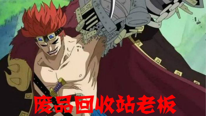 海贼王十一位超新星代表国家,海贼王中11位超新星