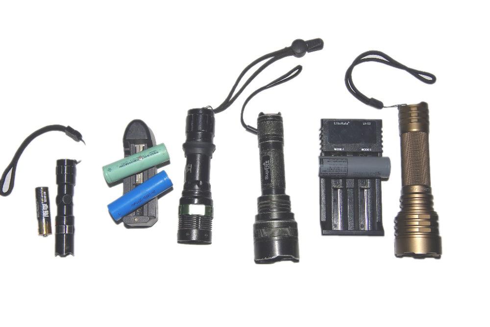 一只虫的心路历程,东江虫控工作心得