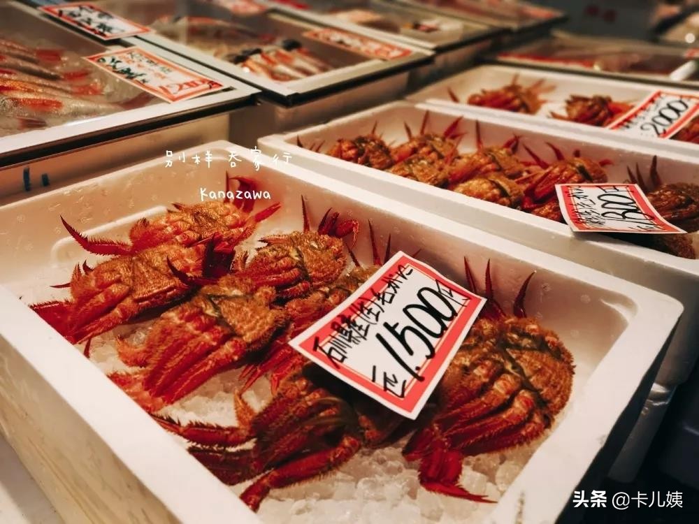 金泽作品,日本金泽最值得去吗