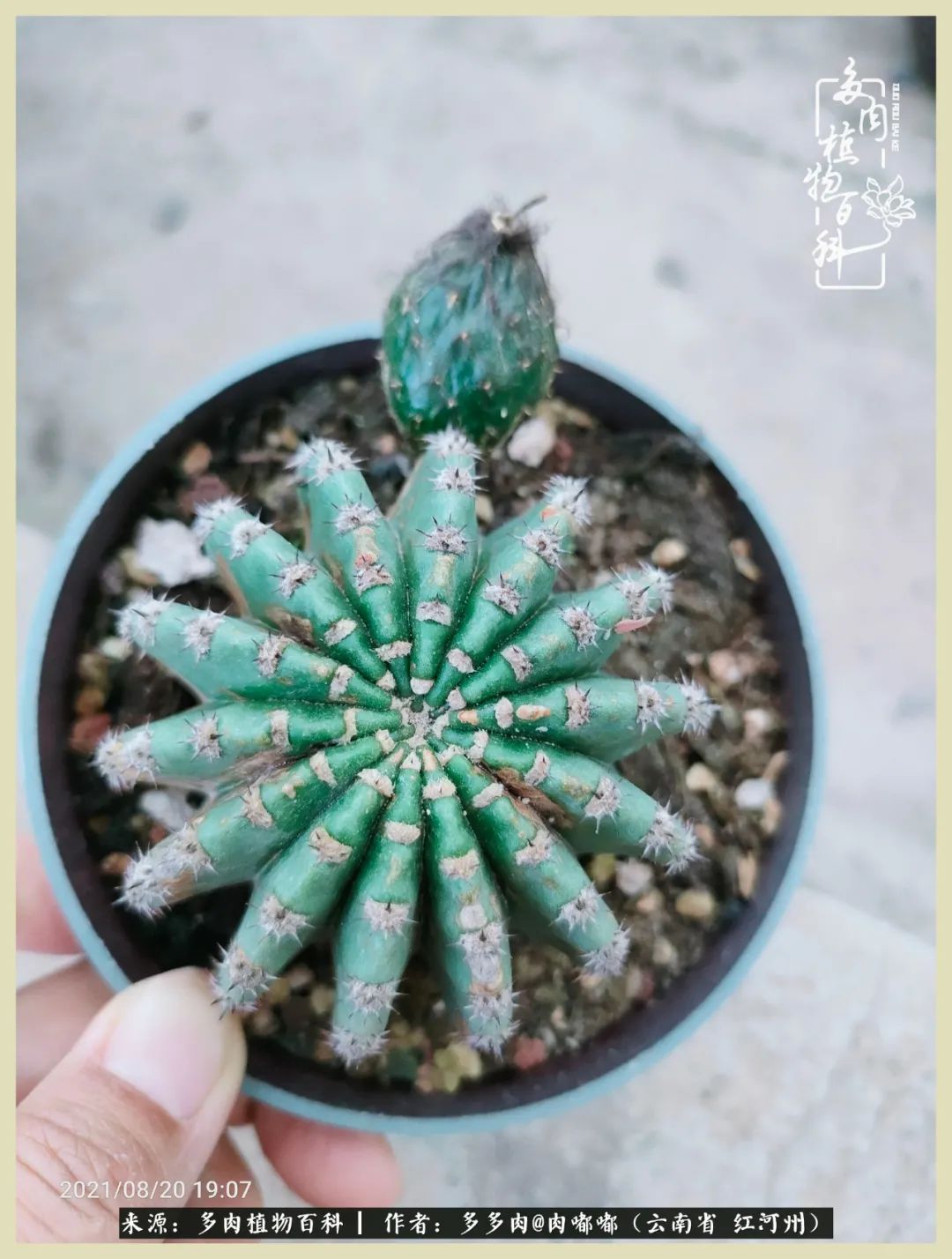 这个春天我们一起去赏花,这个季节我们一起去看花