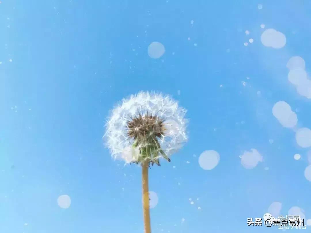 金坛适合一个人安静的地方,金坛的一个小镇