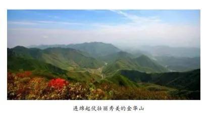 记忆中的山峰,记忆中的金华饼