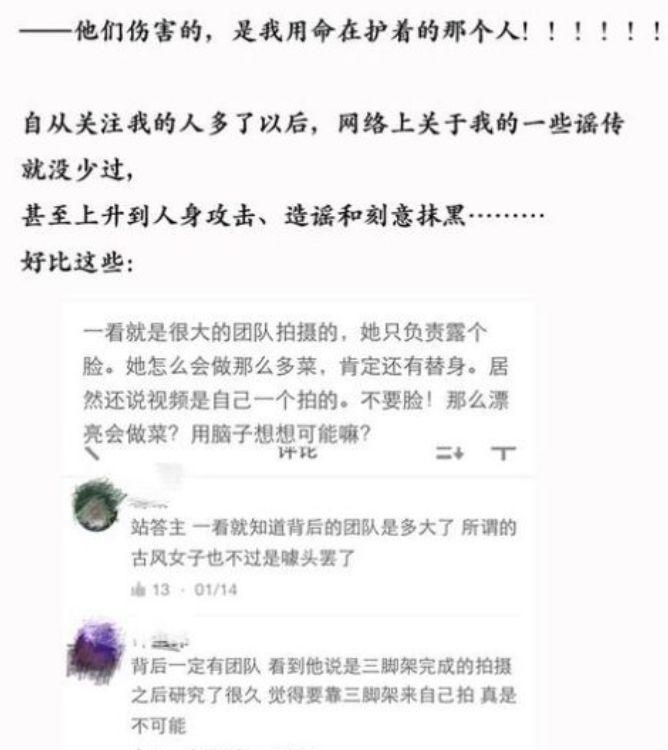 她凭“中华之美”圈粉海外，却被国内网民骂成筛子