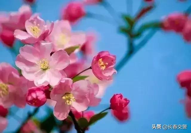 长春发布重要通知情况,长春面向社会公开招聘