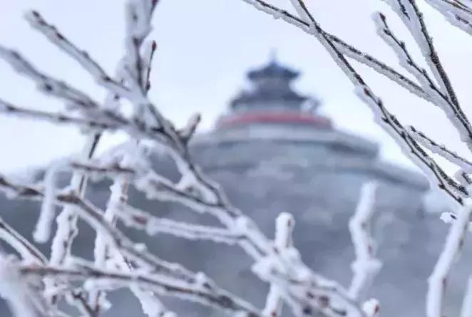 雾凇之美宛若仙境,连云港花果山雾凇美得像仙境