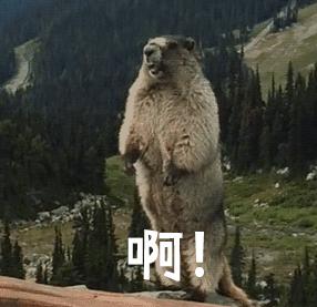 雅诗兰黛小棕瓶到底值得入吗,雅诗兰黛小棕瓶高仿能用吗