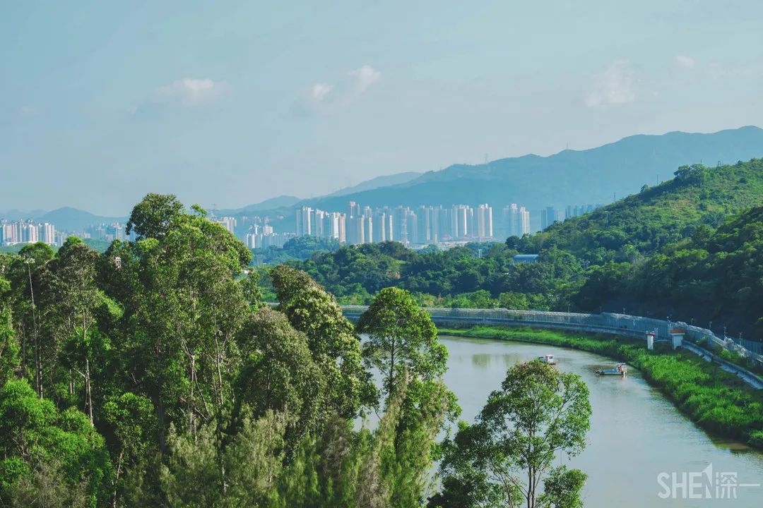 罗湖区的名气大吗,带你了解罗湖