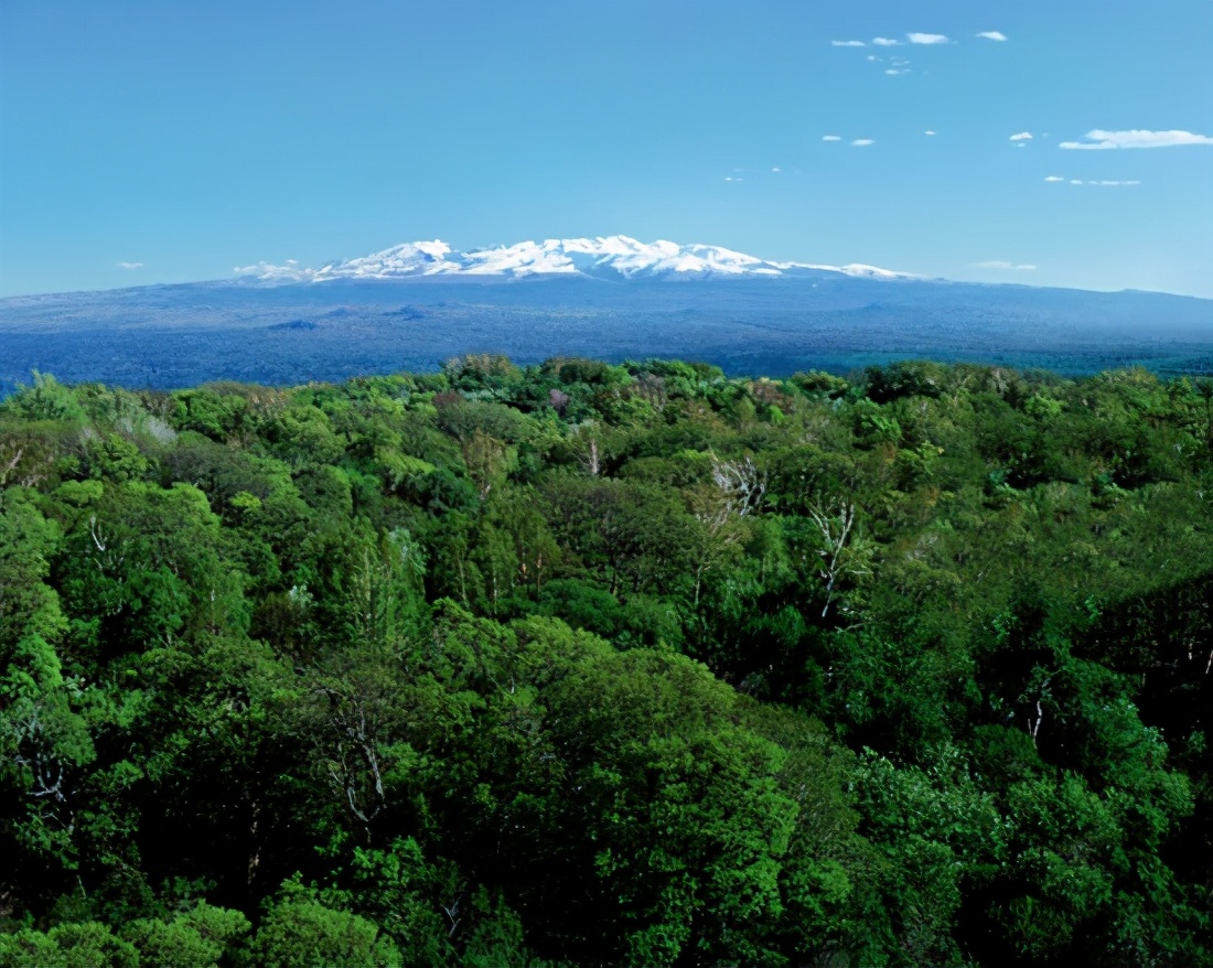 为什么大家都不推露水河,露水河板和禾香板的区别