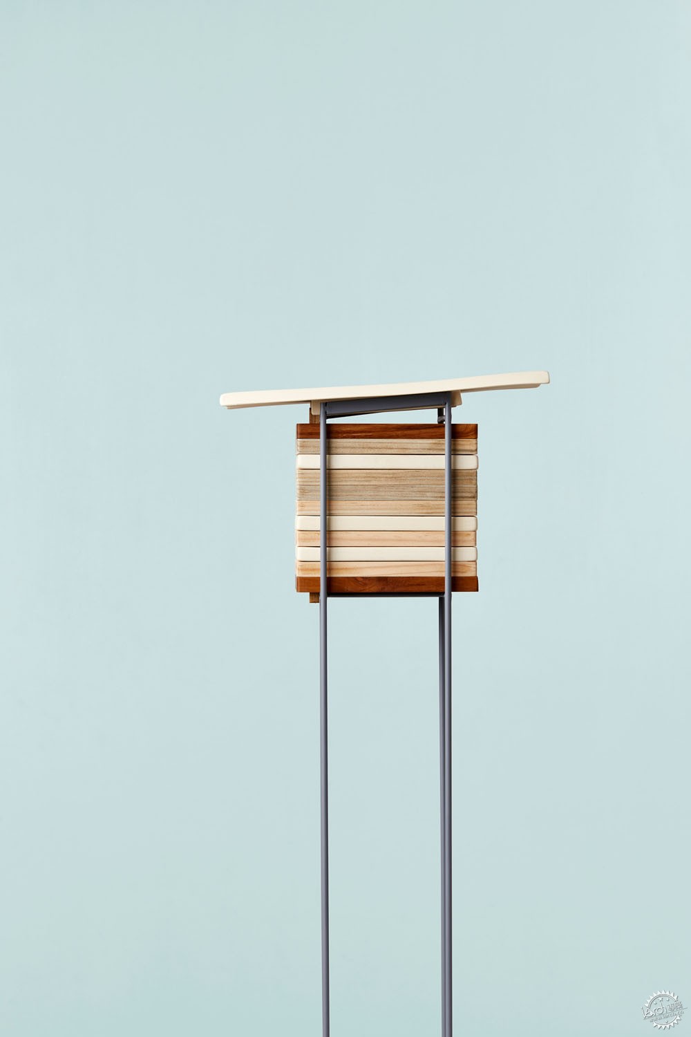 独居蜜蜂有哪些,独居蜜蜂