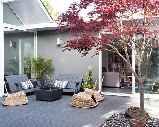 庭院栽树的讲究和忌讳,庭院种哪些树对庭院风水有利