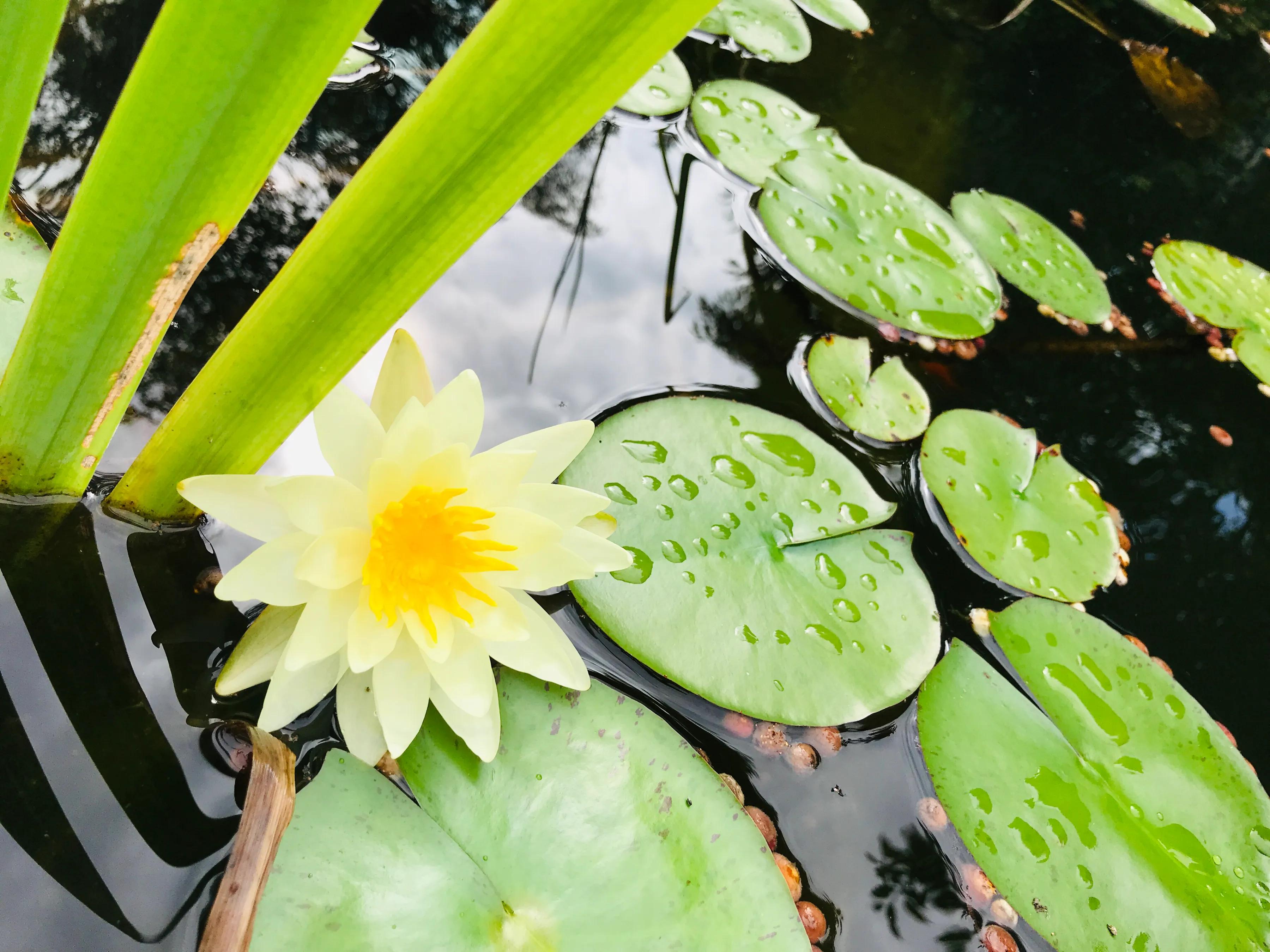 打坐静心的核心要领,怎样正确打坐修炼功法