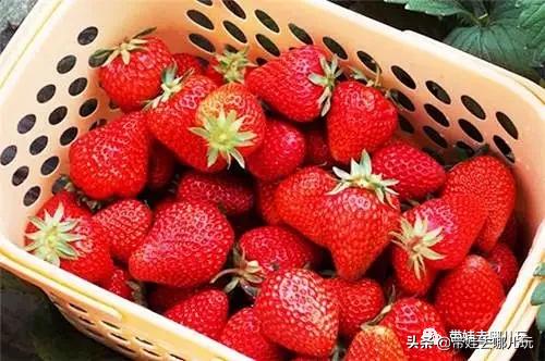 带娃周边3-4天自由行攻略,又到周末要带娃