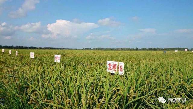 自驾环游世界第一人,一次连续跨越五大洲20万公里吉尼斯世界纪录