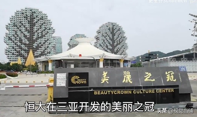 莲花足球场谁设计的,莲花足球场原稿