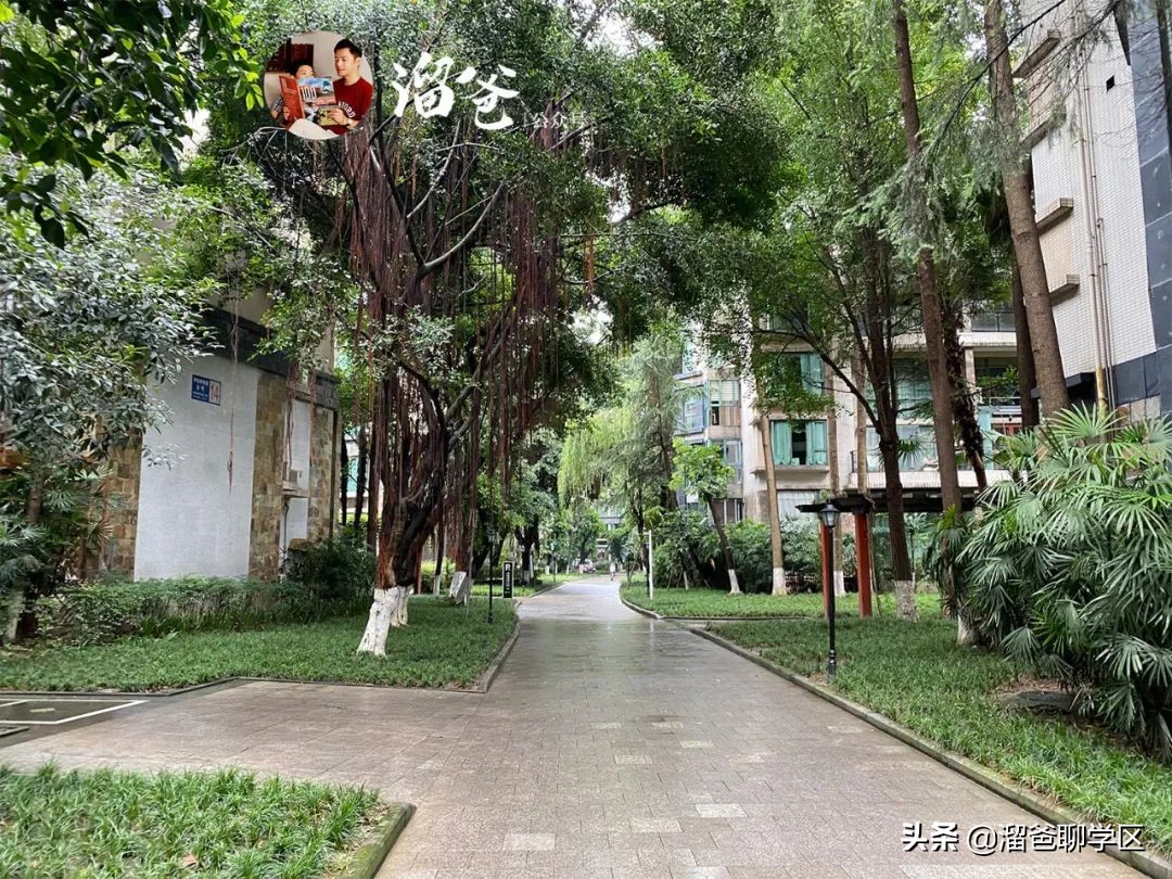 冯家湾村拆迁,神仙树冯家湾片区