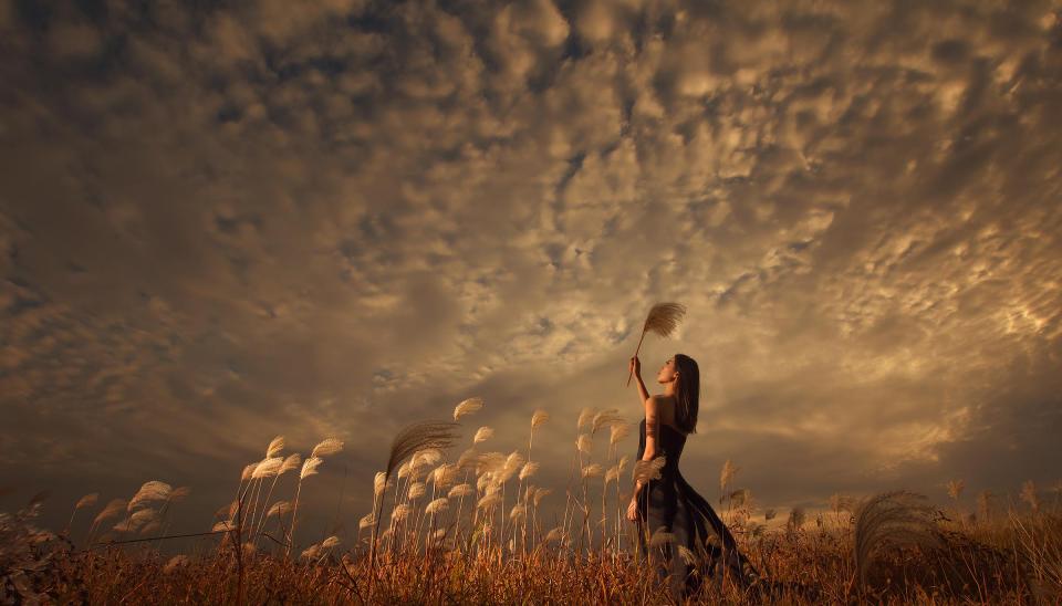 世界十大名著是哪几本书,世界四大名著有哪四本