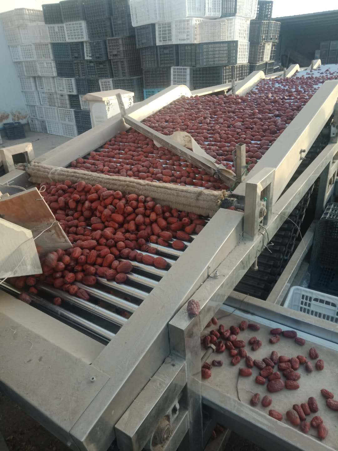 世间有和田枣，我就是吃不厌