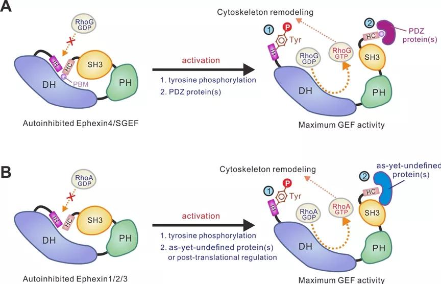 中国科学技术大学丨近期科研成果速览（下）
