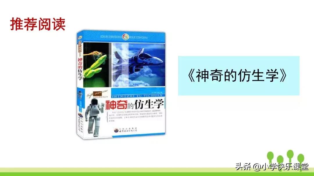 四年级上册语文蝙蝠和雷达课后题,部编版四年级上册语文蝙蝠和雷达
