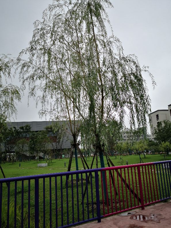 不一样的宜宾四中,一样的学校不一样的人生