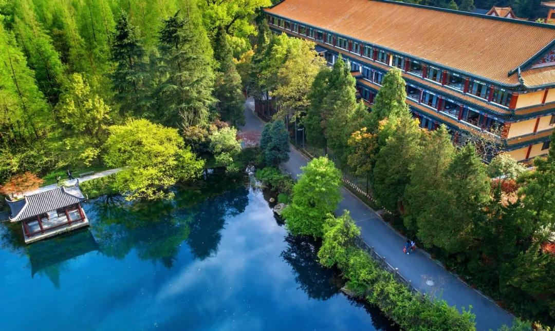 天目盏在日本的茶具,日本天目兔毫盏国宝