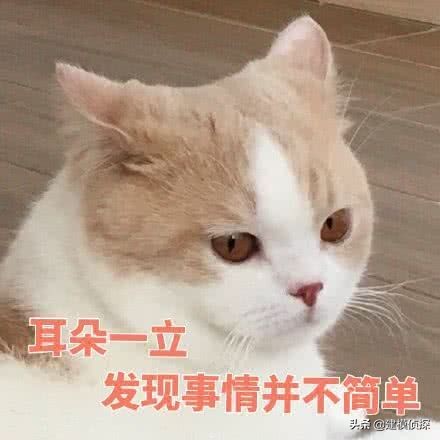 手机3d建模零基础学习方法,零基础3d建模教学