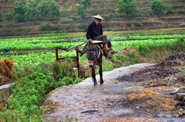 云南这个村子百家相连,一不留神就走到人家房顶上了