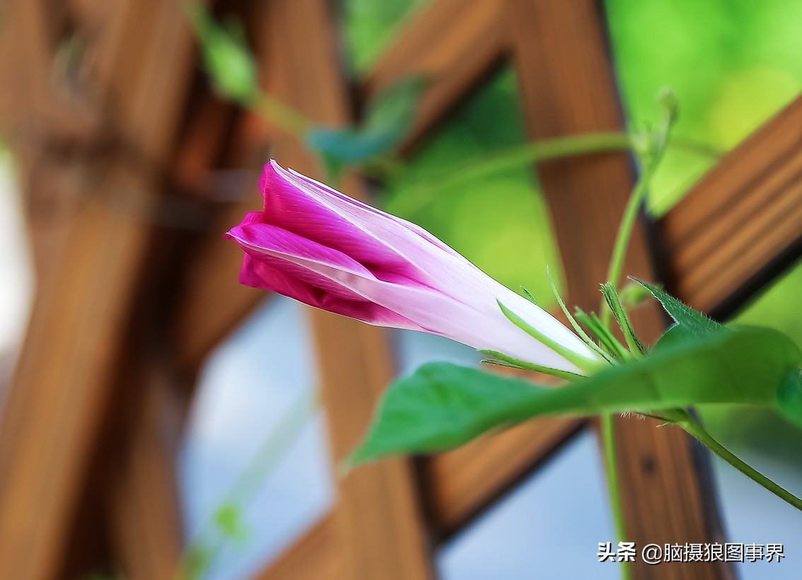 佳能6d现在有新的吗,佳能6d相机寿命多少时间