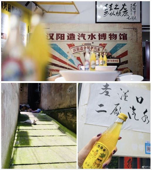 “我还没见过有那个城市的春天，能比武汉还美！”