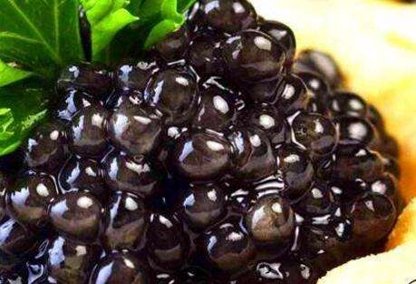 鱼中长者，从一亿三千万年到今天