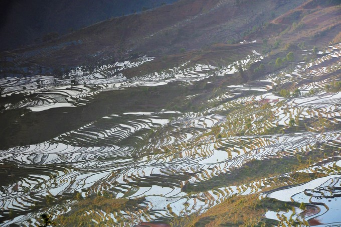 红河梯田和元阳梯田面积,元阳梯田也叫红河哈尼梯田