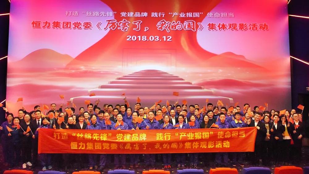 恒力集团产业发展,江苏恒力集团简介