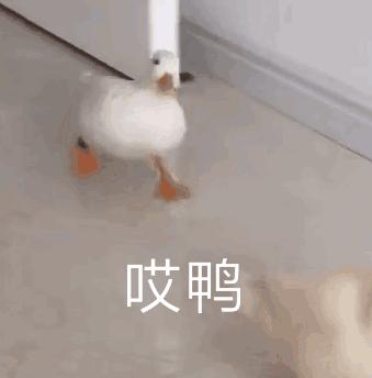 90%的BEC小白都遇过的“坑”,看看你有没有经历过?