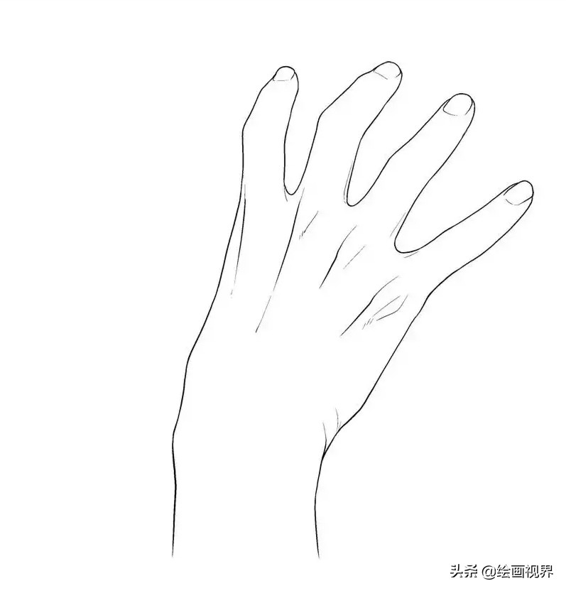 手的绘画入门教程,画人手的画法