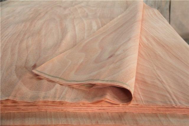 木材入门知识,进口木材的相关基础知识了解一下