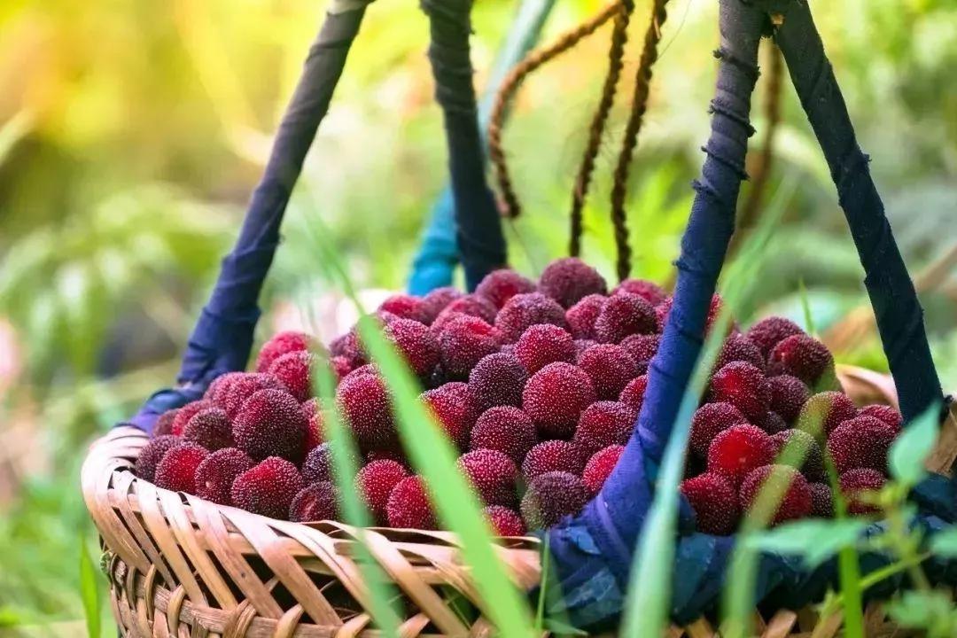 这该死的魅力原版视频,这该死的魅力原版