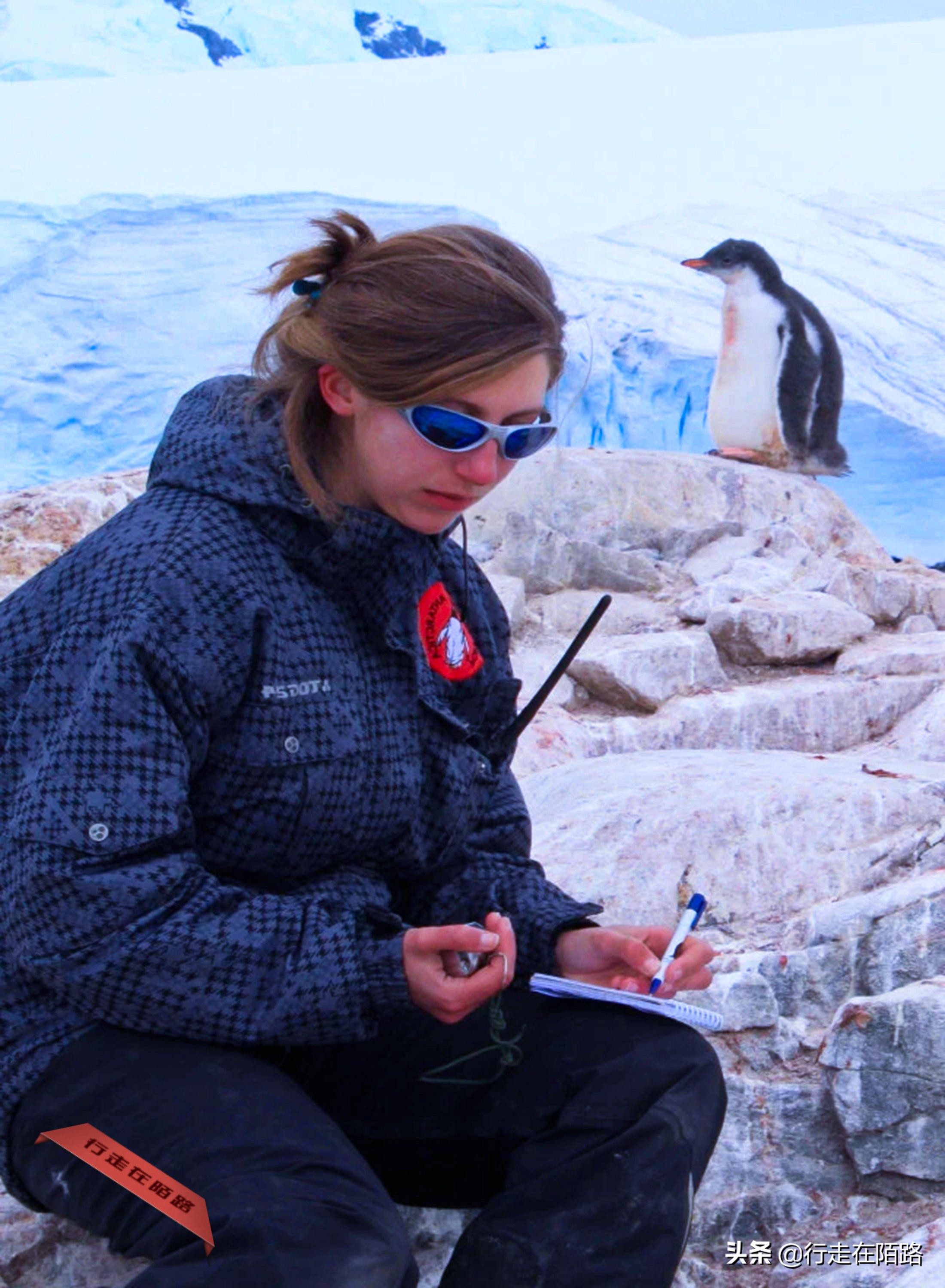 铲屎官招聘,邮局招聘吗