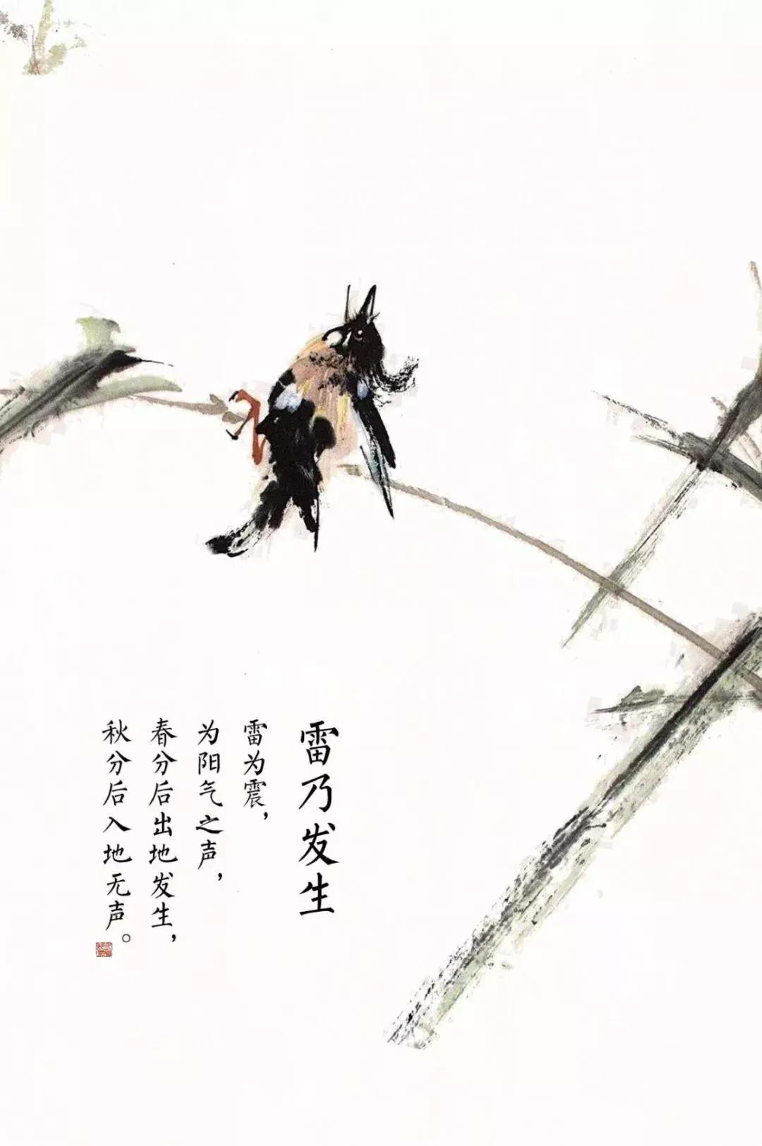 今日春分正是人间好时节,春分小常识每日分享