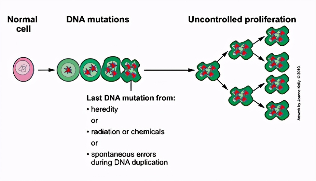 颠覆癌症治疗的黑科技,公认抗癌最好的方法