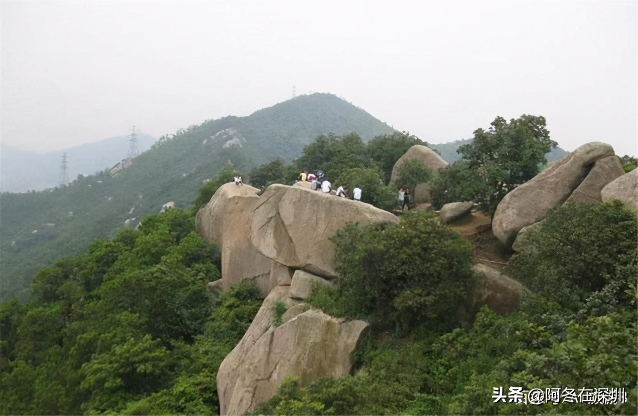 深圳一日游必去的十个免费景点,深圳一日游必去十大网红景点