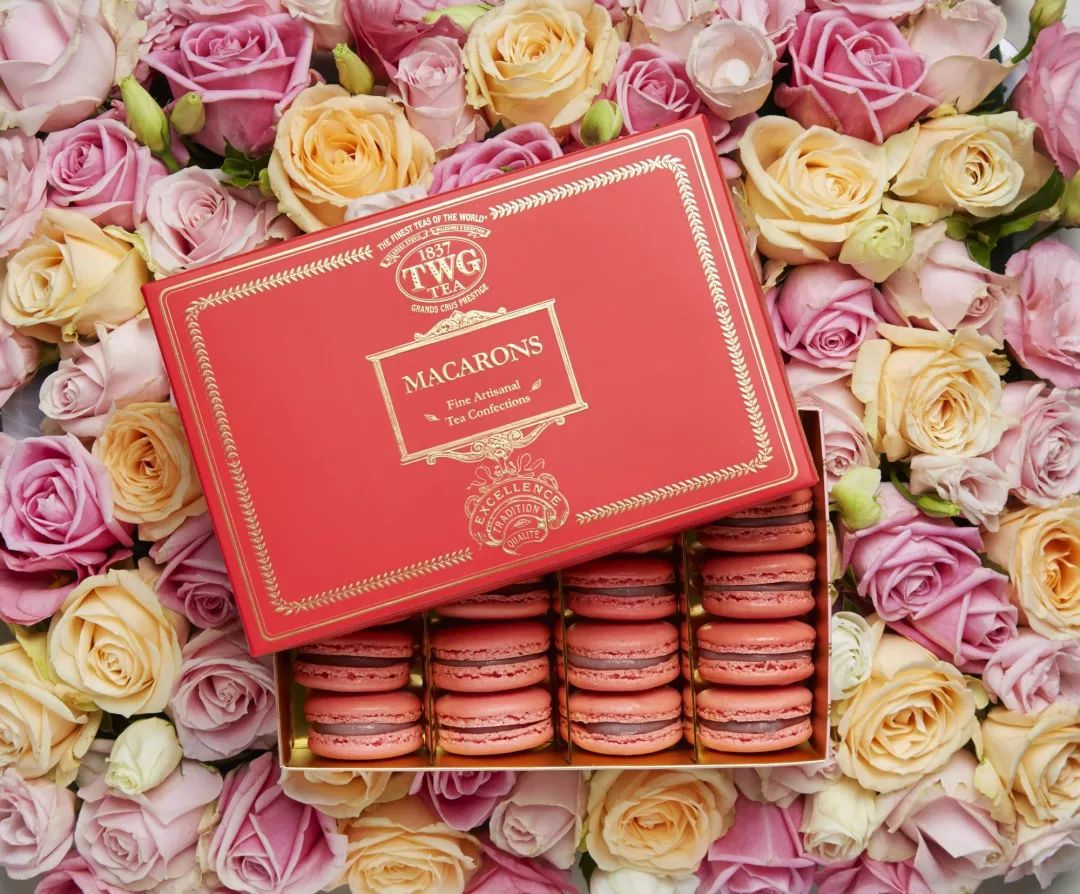 时尚圈今年的流行色,今年时尚趋势流行色