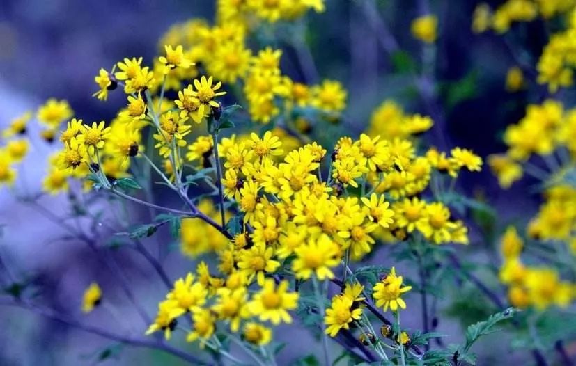 家长和孩子疯玩,家长急疯了孩子不着急怎么办