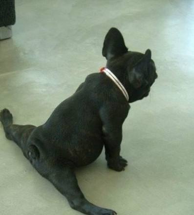 警惕渣男的十大表现,警惕出轨年轻化